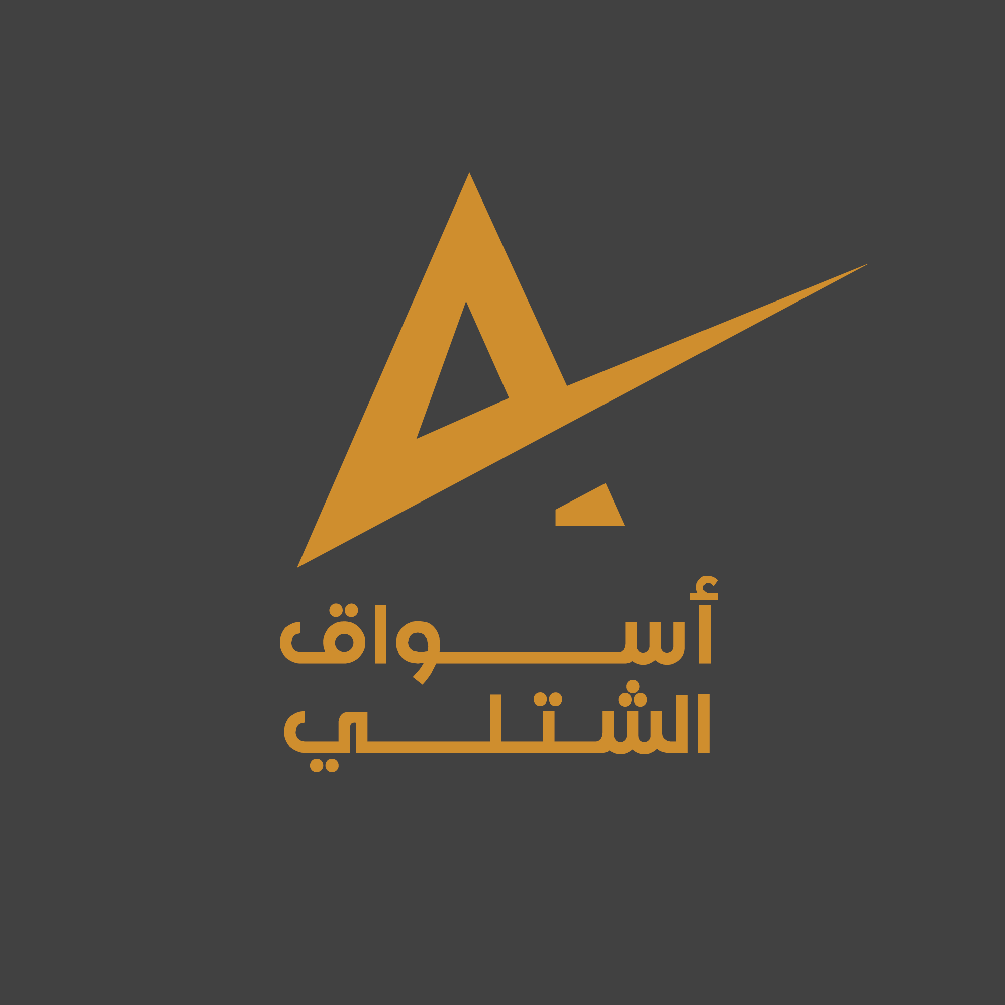 مشروع 4