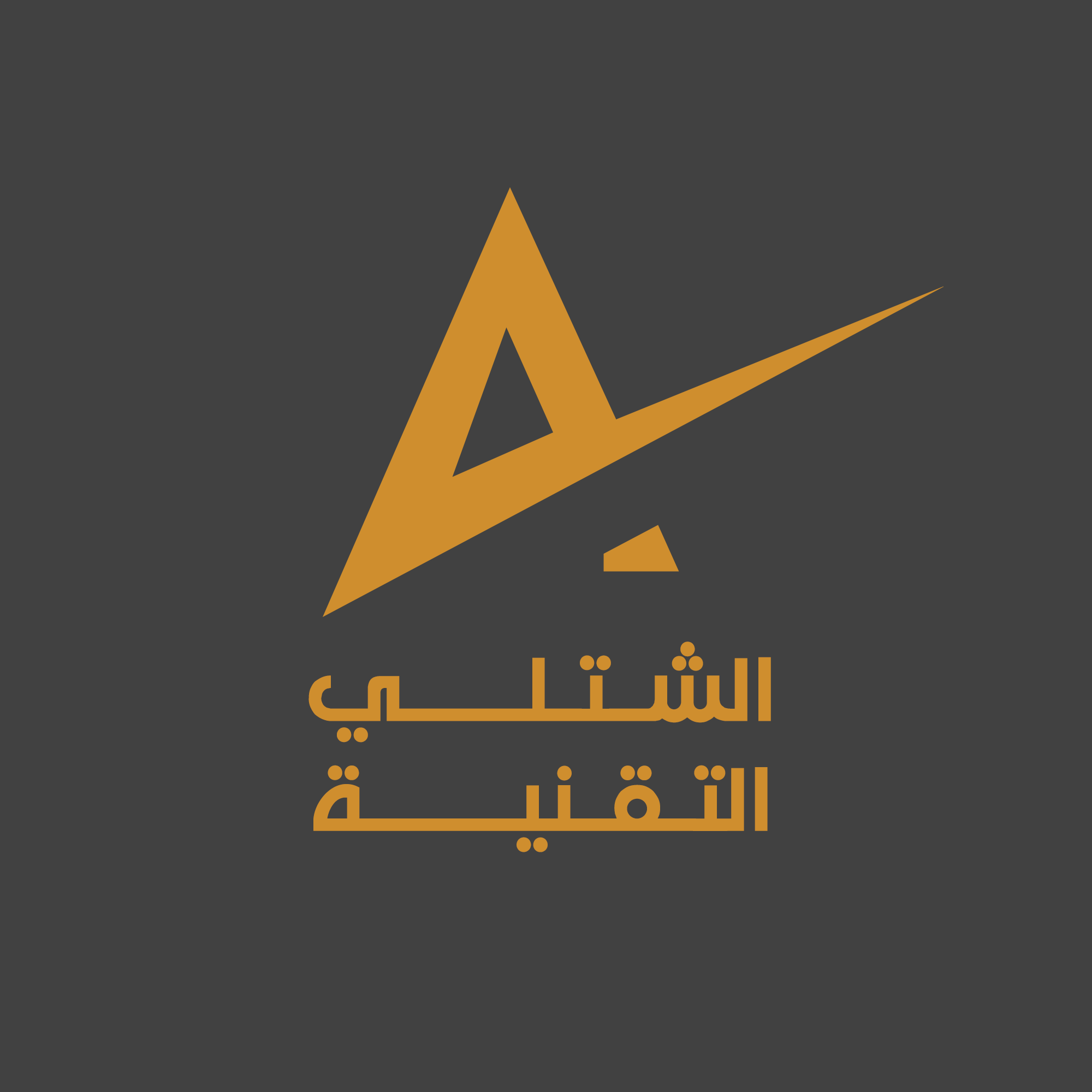 مشروع 3