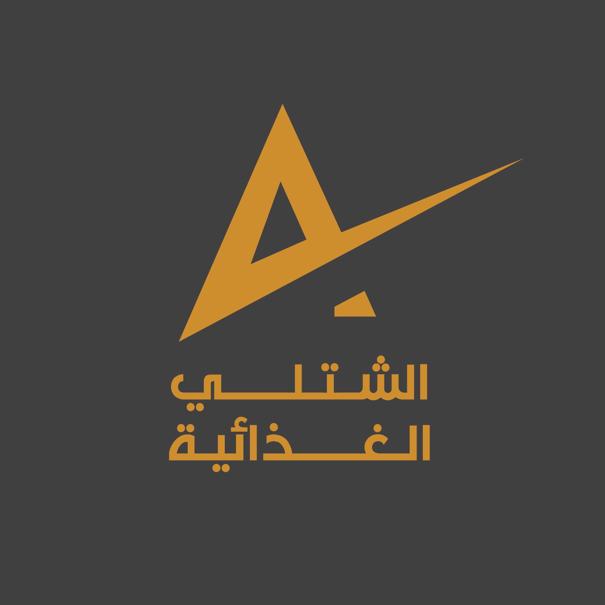 مشروع 3