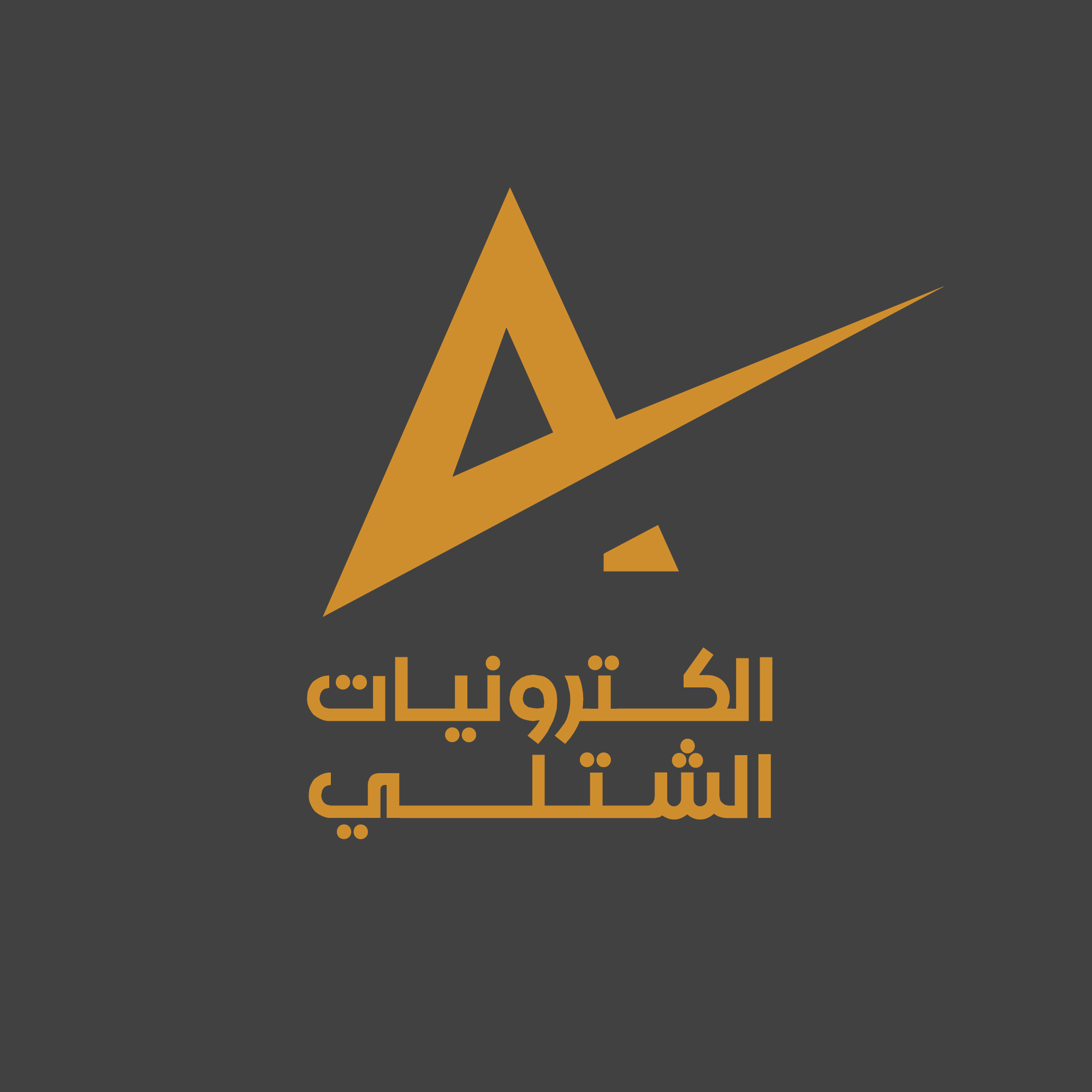 مشروع 4