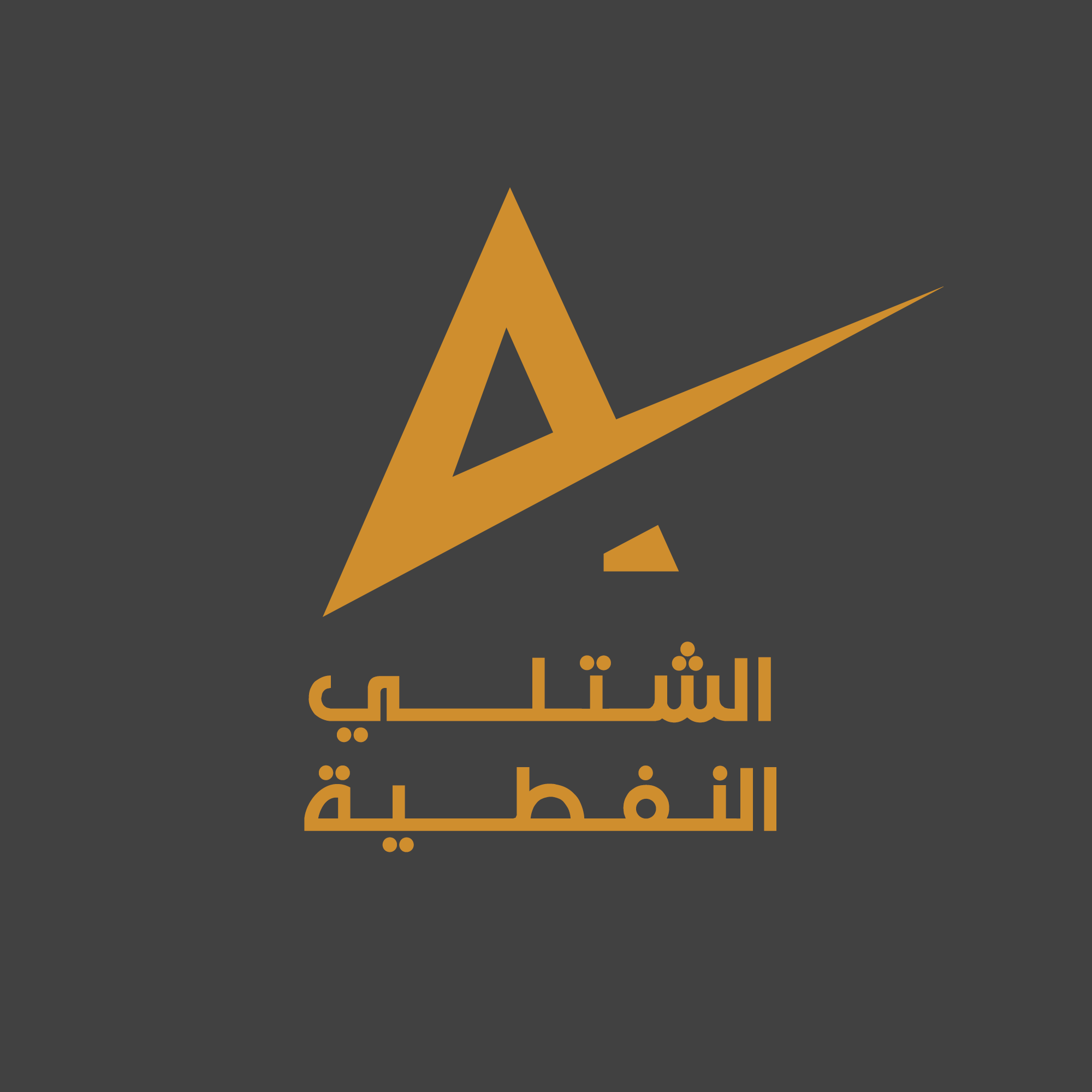 مشروع 4