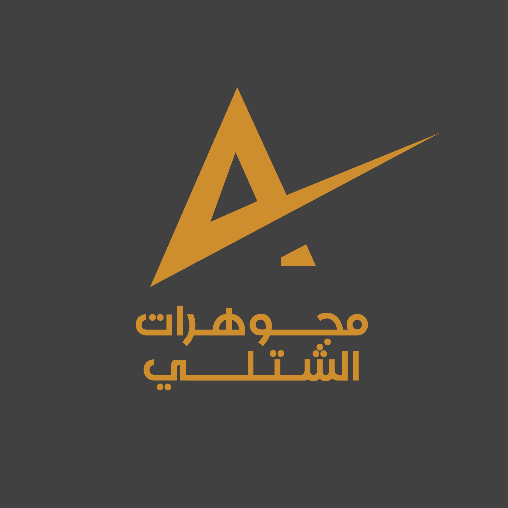 مشروع 1